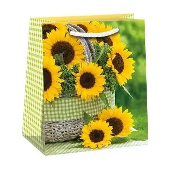 Dárková taška ARGUS Dárková papírová taška (19 x 23 cm) 07470700