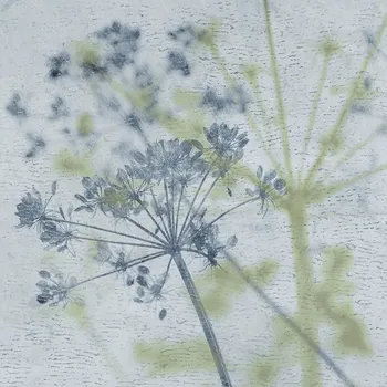 Dlažba Gayafores HERBAL dlažba Aqua 16,5x16,5 (0,55m2) HEB005