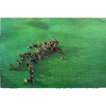 Zahraniční hudba 2LP Squid: Bright Green Field 2021