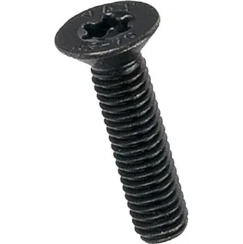 Spojovací materiál Šroub TORX zápustná hlava ISO 14581 nerez - černěno M4x12 ISO 14581 A2/čer.