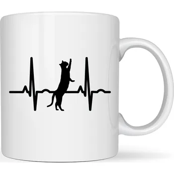 Hrneček - EKG kočka