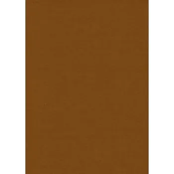 Dekorativní plsť hnědý světlý YC-692