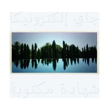 Zahraniční hudba LP Jay Electronica: A Written Testimony LTD | CLR 2020 Coloured Vinyl Limited Edition