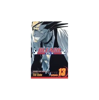 Cizojazyčná kniha Bleach, Vol. 13 - Kubo, Tite