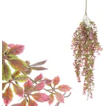 Autronic Přísavník pětiprstý převis 65…