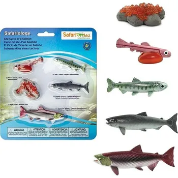 Figurka Safari Ltd. Životní cyklus - Losos