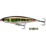 Daiwa wobler Prorex Pencil Bait 65F 6,5cm