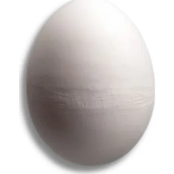 Podkladek pro slepice sádrový