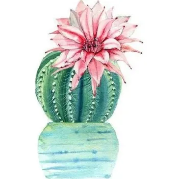 Diamantové malování Gaira® Diamantové malování Kaktus D9012