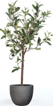 Umělá květina Emerald Umělý olivovník 435920 65 cm zelený