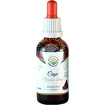 Čaga - rezavec šikmý AF tinktura 50ml, Salvia Paradise