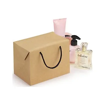 Dárková taška Taška ve tvaru krabice z hnědého kraftového papíru 190x140x125 mm - Balení po 1 ks