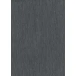 DIMEX | Vliesová tapeta na zeď WPE-901379 | 0,53 x 10,05 m | černá + Černá vliesová tapeta na stěnu WPE901379 v rozměru 0,53 x 10,05 m