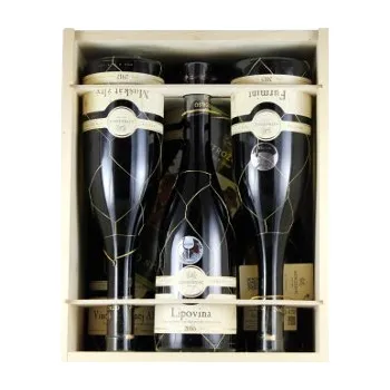 Víno Ostrožovič Víno Special Colection kufr dárkové balení 6 láhví