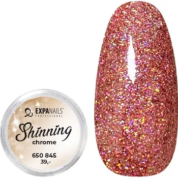 Třpytky - Shining Chrome glitter č.5 - 2g