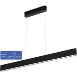 LED lustr Philips HUE 8719514343368 ENSIS 79 W 5500 lm 2000-6500 K černý - kompatibilní se SMART HOME by hornbach