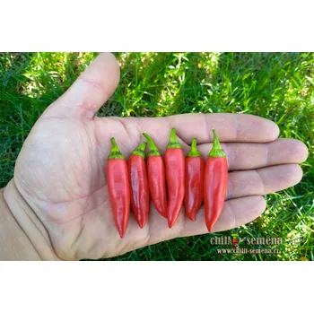 Semeno chilli-semena Twilight chilli