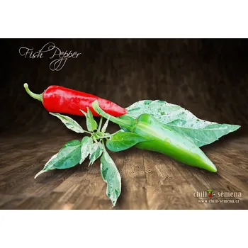 Semeno chilli-semena Fish Pepper