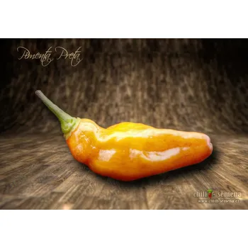 Semeno chilli-semena Pimenta Preta