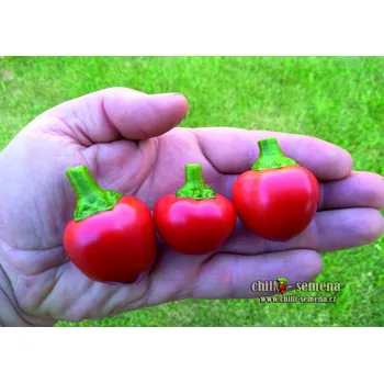 Semeno chilli-semena Large Red Cherry
