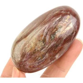 Přírodní kámen Hladký kámen zkamenělé dřevo (Madagaskar) 95g