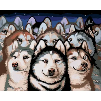 Dětské zboží Diamondi Diamantové malování - TLUPA HUSKY Rozměr: 40x50 cm, Rámování: vypnuté plátno na rám