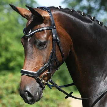 Uzdečka Busse Modena Černo-bílá Cob