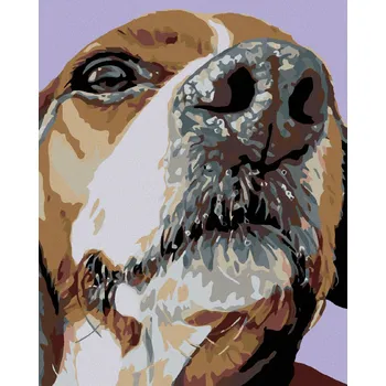 Diamondi Diamantové malování - ČUMÁČEK BÍGLA Rozměr: 40x50 cm, Rámování: bez rámu a bez vypnutí plátna