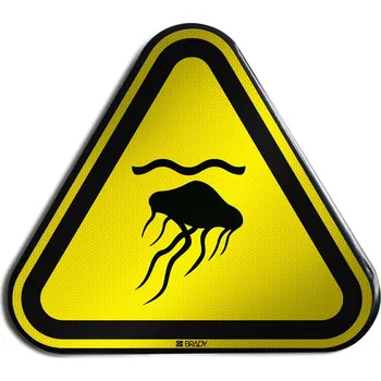 Kancelář W/W069/NT/RFLBD-TRI400-1