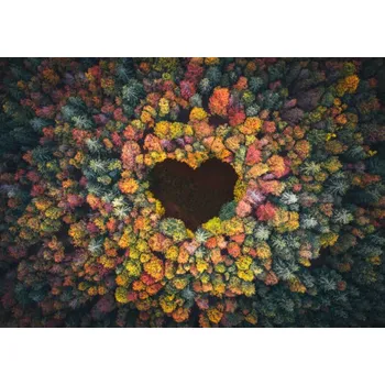 Plakát Plakát, Obraz - Heart Shape In Autumn Forest, borchee
