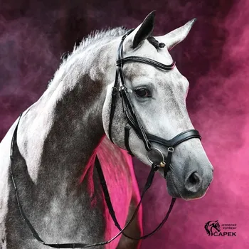 Anatomická uzdečka Busse -FEELING- - Černá II - Cob