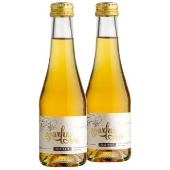 Víno Lacina Vinařství Frizzante MARHULOVÉ ORIGINÁL 2 láhve 0,2 l