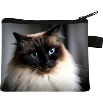 Peněženka Dětská kapesní peněženka s motivem kočky - 02