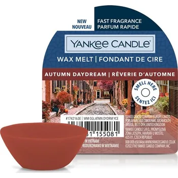 Yankee Candle Vonný vosk 22 g, Autumn Daydream