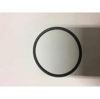 Bazénová filtrace Pooltechnika Těsnění víka předfiltru Swimmey