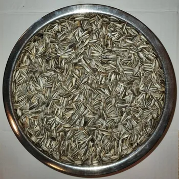 Krmivo pro ptáka Slunečnice žíhaná 25 kg