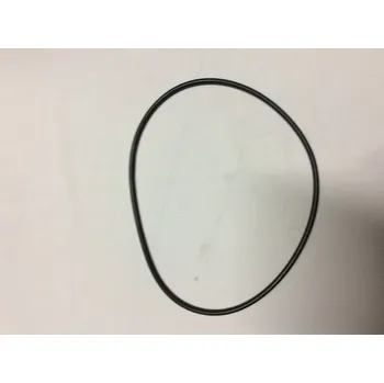 Bazénová filtrace Pooltechnika Těsnění těla čerpadla SS