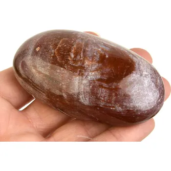 Přírodní kámen Kámen zkamenělé dřevo 151g