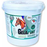 Orling GelaPony VitaMín