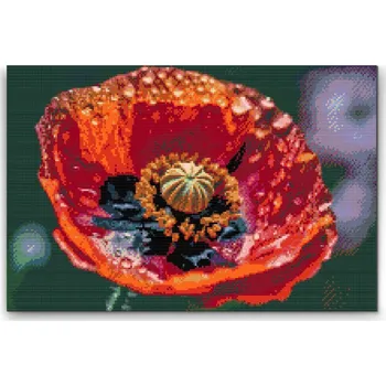 Diamantové malování Diamantové malování - Květ máku Velikost: 40x60cm, Rámování: Pouze srolované plátno, Diamanty: Kulaté