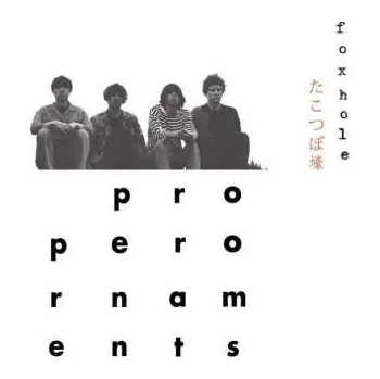 Zahraniční hudba CD The Proper Ornaments: Foxhole 2019