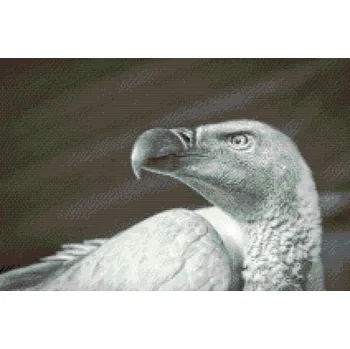 Diamantové malování Diamantové malování - Sup Velikost: 40x60cm, Rámování: Pouze srolované plátno, Diamanty: Čtvercové