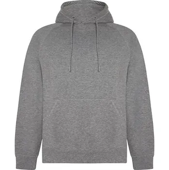 Pánské oblečení Roly Vinson Pánská mikina s kapucí SU1074 Heather Grey 58 S