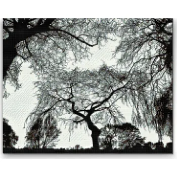 Diamantové malování Diamantové malování - Silueta stromů Velikost: 30x40cm, Rámování: Pouze srolované plátno, Diamanty: Čtvercové