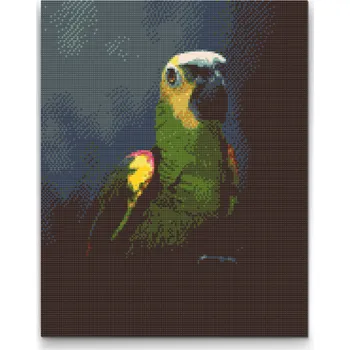 Diamantové malování Diamantové malování - Papoušek Amazoňan Velikost: 30x40cm, Rámování: Pouze srolované plátno, Diamanty: Čtvercové