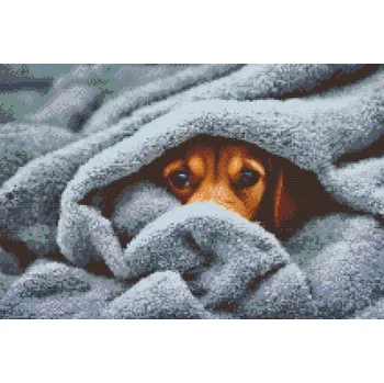 Diamantové malování Diamantové malování - Psí oči pod přikrývkou 2 Velikost: 40x60cm, Rámování: Pouze srolované plátno, Diamanty: Čtvercové