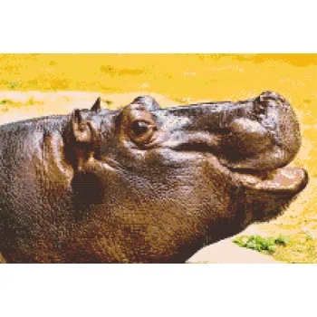 Diamantové malování Diamantové malování - Safari Hroch Velikost: 40x60cm, Rámování: Pouze srolované plátno, Diamanty: Kulaté