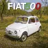 Kalendář Avonside Publishing Nástěnný kalendář Fiat 500 2024
