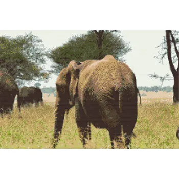 Diamantové malování Diamantové malování - Serengeti národní park Velikost: 40x60cm, Rámování: Pouze srolované plátno, Diamanty: Čtvercové