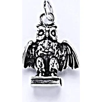 Přívěsek Stříbrný přívěsek 3D sova s knihou - P912 (Stříbrná sova)